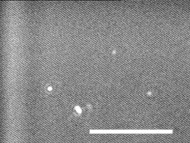 [������� 10%]