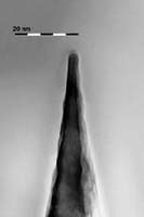 SEM image of Ultrasharp silicon tip