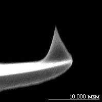 [����������]