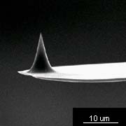 [SEM images of CONTACT Ultrasharp silicon cantilever tip (SC12 series)]