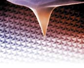 [Ultrasharp Silicon Cantilevers]